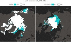 A graphic from the Washington Post showing arctic ice extent from 1979 compared to 2014.