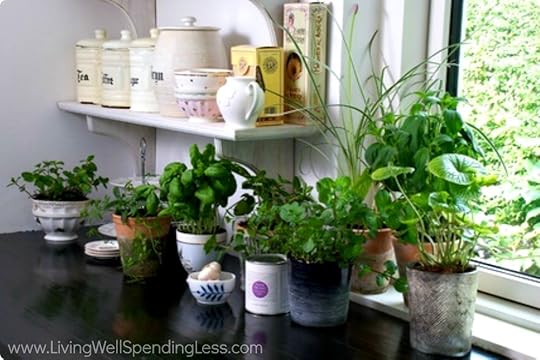 How to Store and Organize your Spices