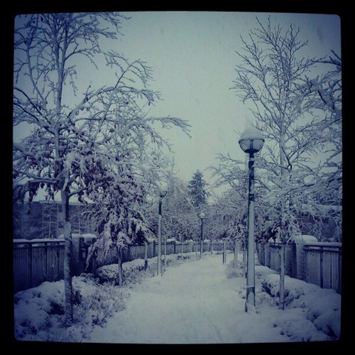 8289363446_98891cd067_o