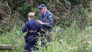 Perhaps this is a stock shot for trainers to use.