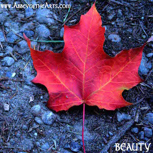 April 17 - Beauty