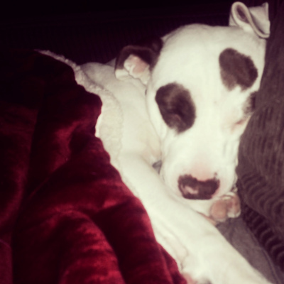 Proof that turning in early can be sweeter.