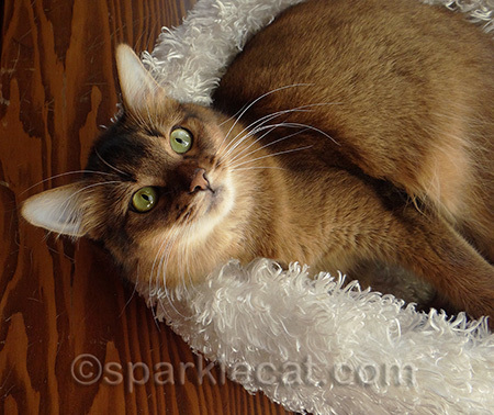 It's practically a glamour shot!