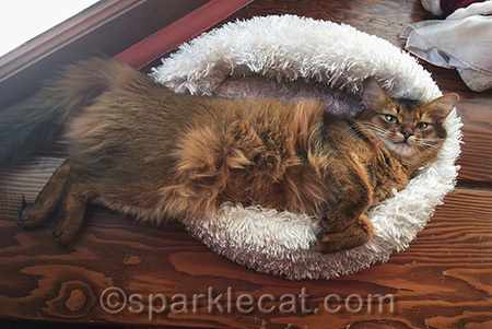 At least I am still relaxed!