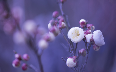 image source