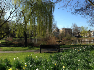 Image of pond and park - Barnes