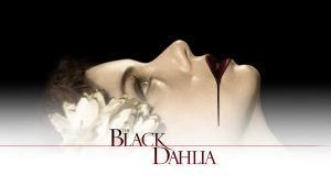 noir - Black Dahlia