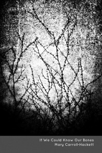 bones a-minor cover