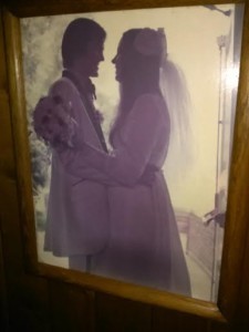 Mary Ellis dress April