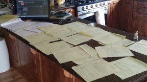 10981683_855667741146068_536249133251550390_n