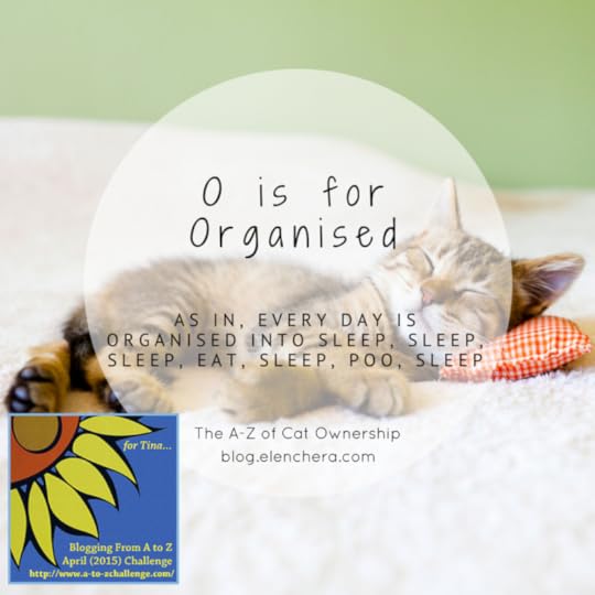 A-Z of Cats: O is for Organised