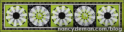 Adventure Quilt Block of the Month Quilt | April 2015 | Nancy Zieman