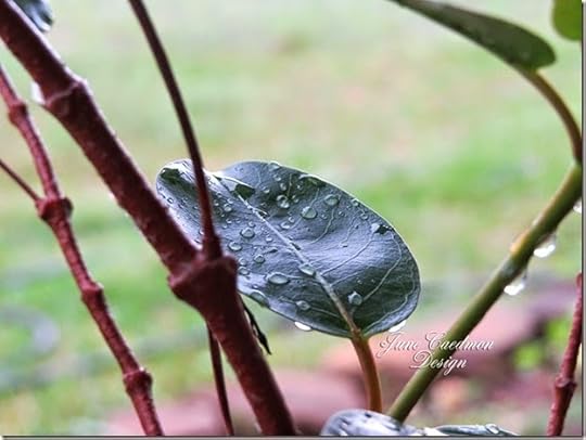 WaterDroplets2