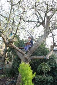 Reading tree