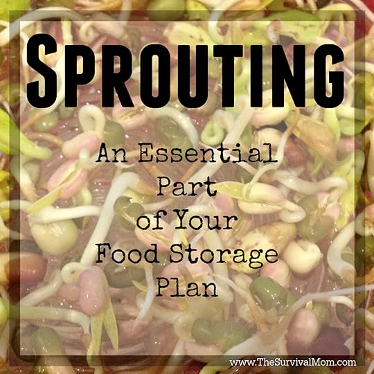 Get started sprouting seeds