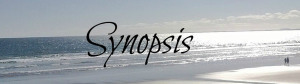 Synopsis banner