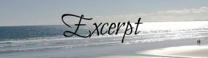 Excerpt banner
