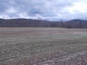 field