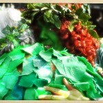 Photo Credit Vicki Burtoncc