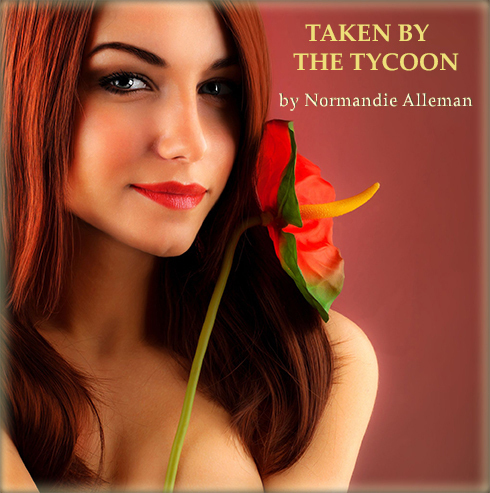 Taken by the Tycoon Audiobook