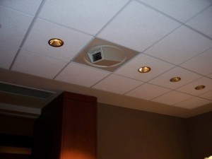 Natl History Museum ceiling camera2 small