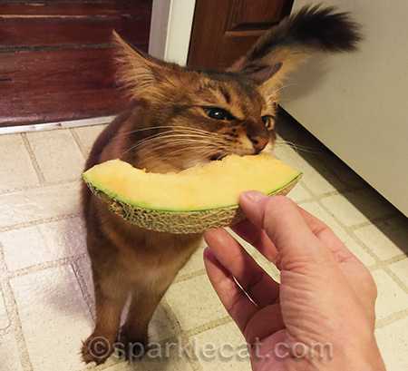 Tasty!
