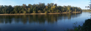 Apalachicola River at Torreya State Park, one of the most diverse habitats in the world.