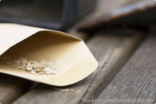 How to Grow a Vegetable Garden Seeds