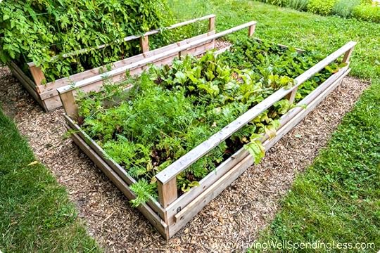How to Grow a Vegetable Garden Raised Beds