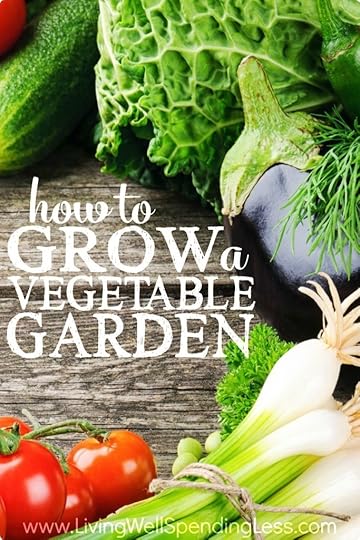 How to Grow a Vegetable Garden Vertical 4