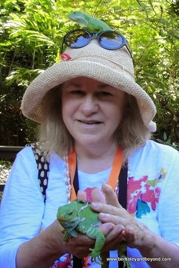 travel writer Carole Terwilliger Meyers with iguanas at Kula Eco Park in Fiji