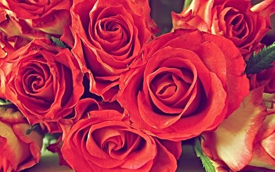  photo 3d-abstract_widewallpaper_bouquet-of-roses-for-jeri_41184_zpsl2zb3y6u.jpg