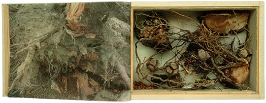 Book-box by Miguel Angel Blanco
