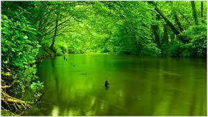 Image result for green