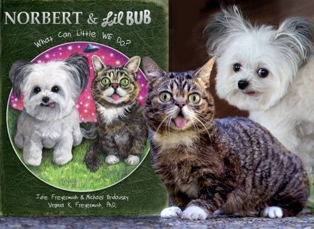 lil-BUB-book