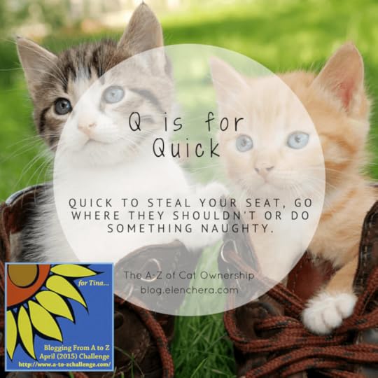 A-Z of Cats: Q is for Quick