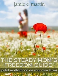 Steady Moms Freedom Guide