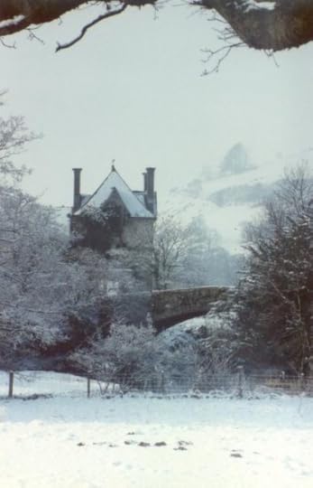 photo 4D2E071B-CF14-4477-85C8-83EDA32A441B.png