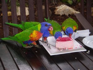 A bunch of stickybeaks.