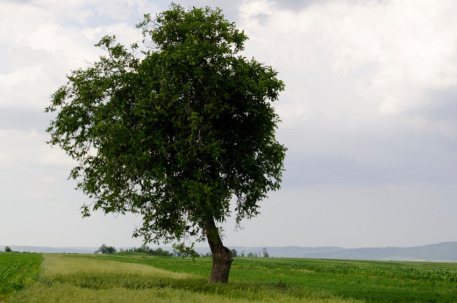 0619_blogified