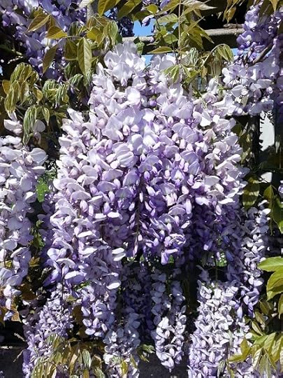 Image and video hosting by TinyPic