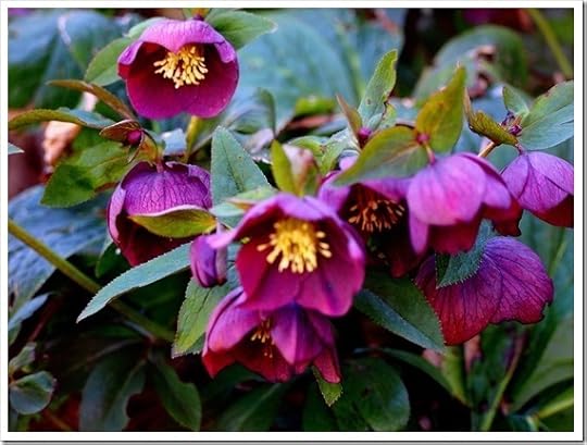 22 April 4 4608x3456