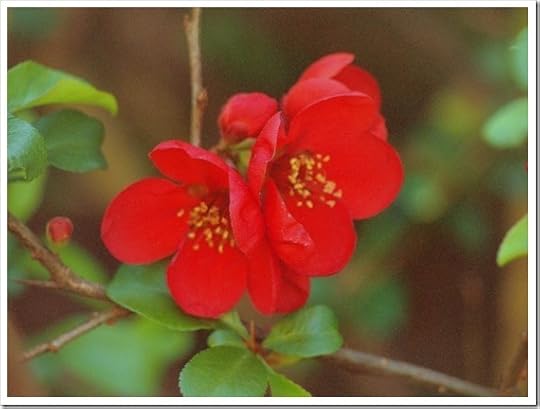 22 April 3 4608x3456