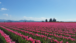 20150409_123607
