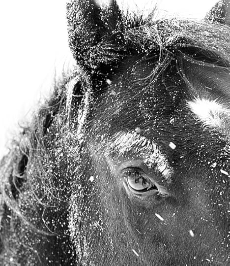 photo 03247e4e-9e9c-4fc6-96ba-274d3cb1de1b.jpg