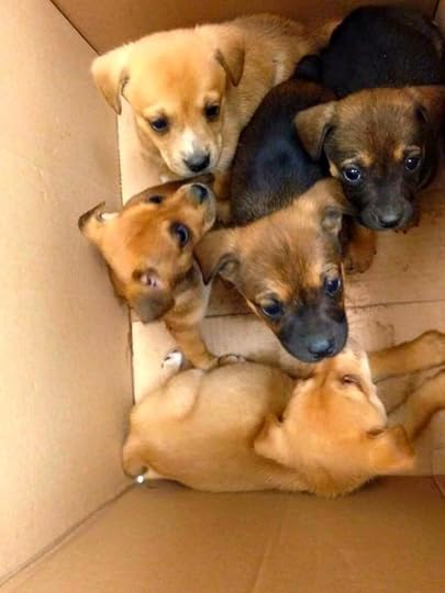  photo E896B771-8AED-4FBF-AB47-8D55C4AC79FA.jpg