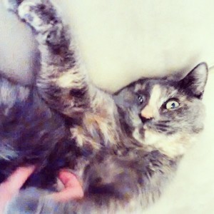 10626476_10152509851651752_8812022412993618697_n