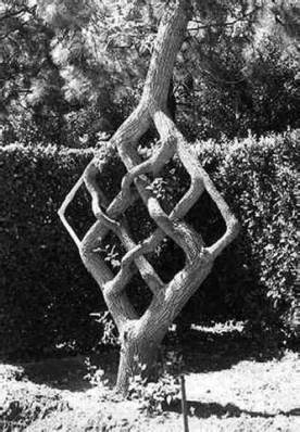square