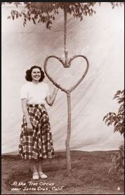 tree2