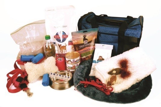 FoodShelterLoveImage2